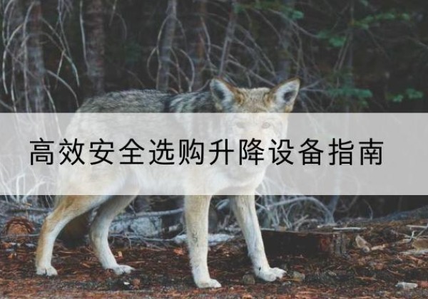 乌恰升降货梯厂家推荐-*安全选购升降设备指南