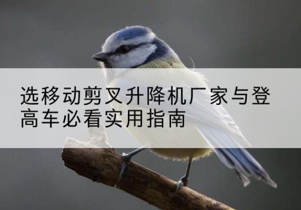 乌恰电动升降机厂家-选移动剪叉升降机厂家与登高车必看实用指南